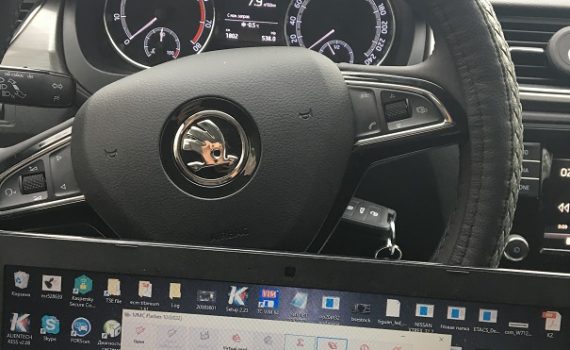 Чип тюнинг Rapid FL 1.6