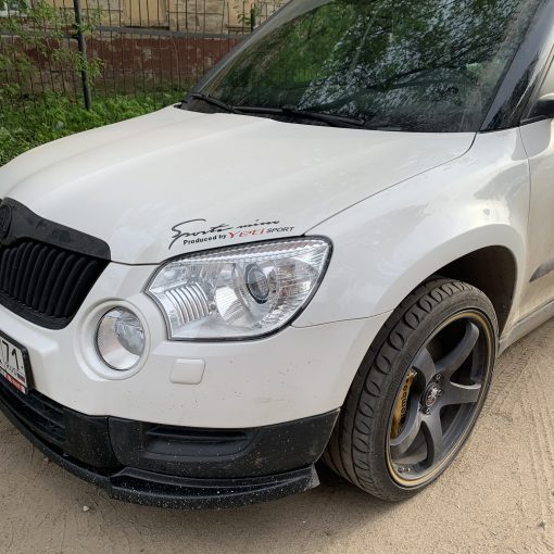 Skoda Yeti Stage 3